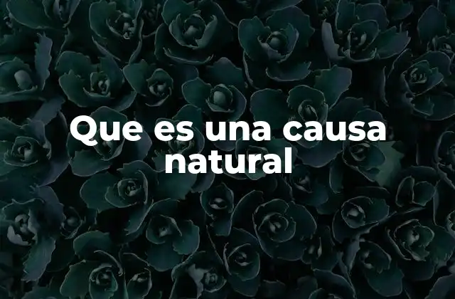 Que es una Causa Natural