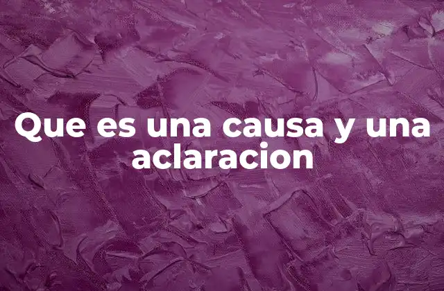 Que es una Causa y una Aclaracion