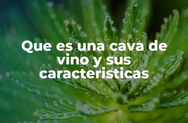 Que es una Cava de Vino y Sus Caracteristicas