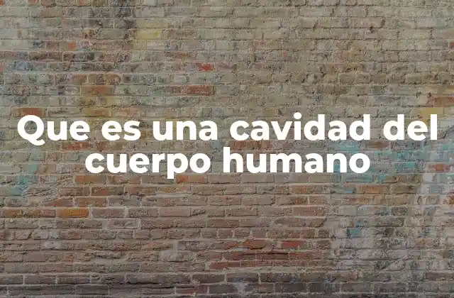 Que es una Cavidad Del Cuerpo Humano