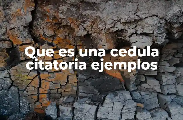 Que es una Cedula Citatoria Ejemplos