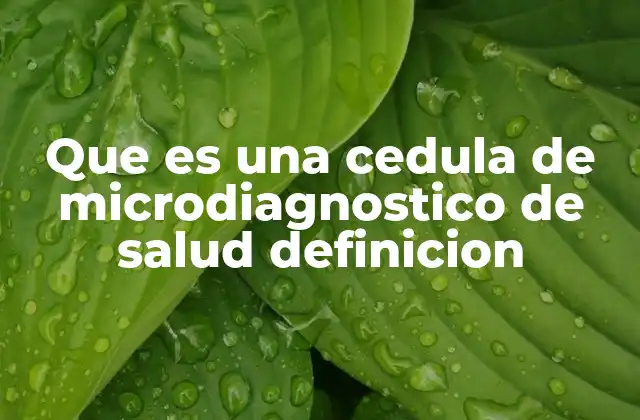 Que es una Cedula de Microdiagnostico de Salud Definicion 2 El papel de la cédula en el sistema sanitario