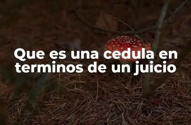 El papel de las cédulas en el desarrollo del proceso judicial