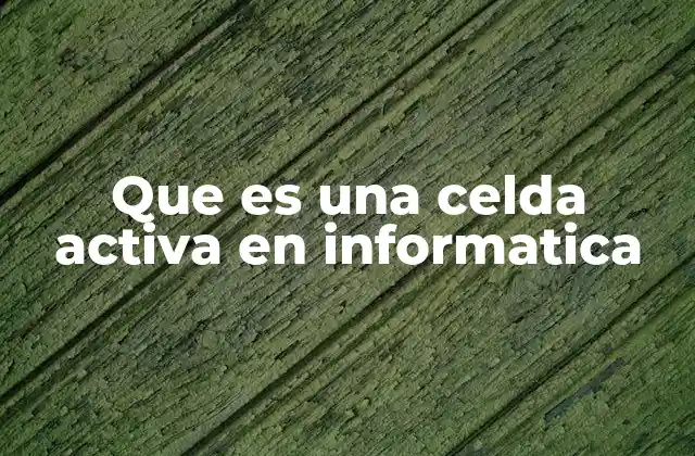Que es una Celda Activa en Informatica