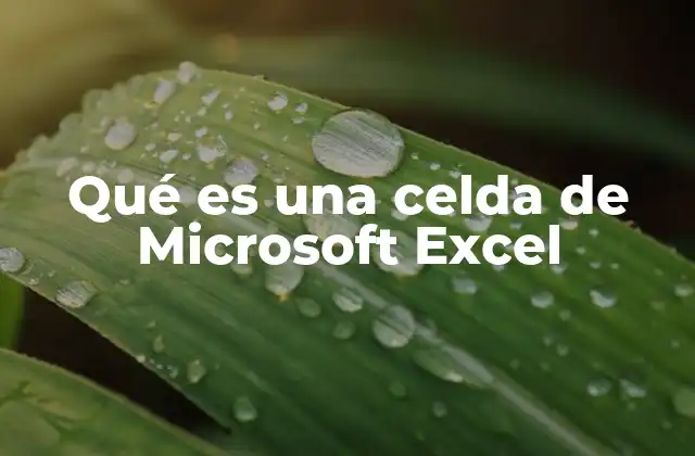 Qué es una Celda de Microsoft Excel
