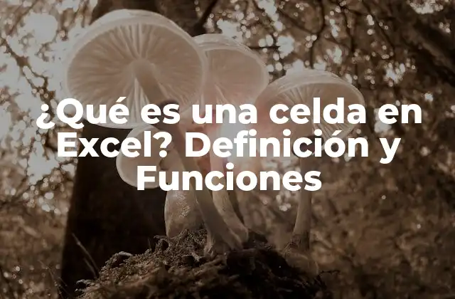 ¿qué es una Celda en Excel? Definición y Funciones