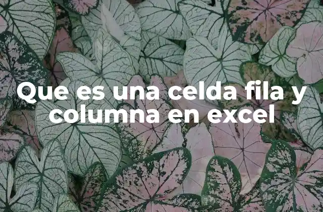 Que es una Celda Fila y Columna en Excel