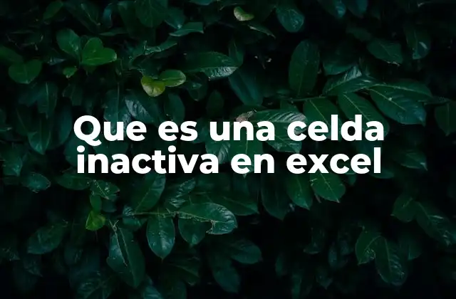 Que es una Celda Inactiva en Excel