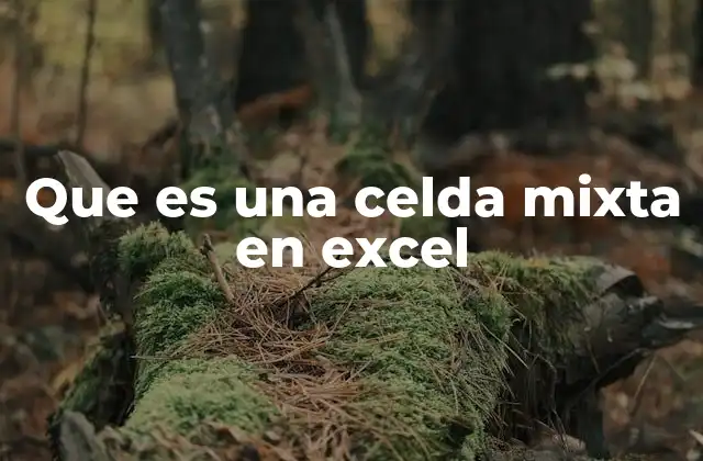 Que es una Celda Mixta en Excel