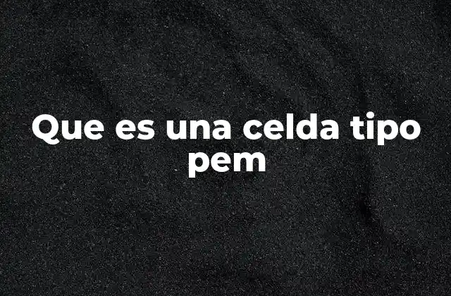 El funcionamiento interno de las celdas PEM