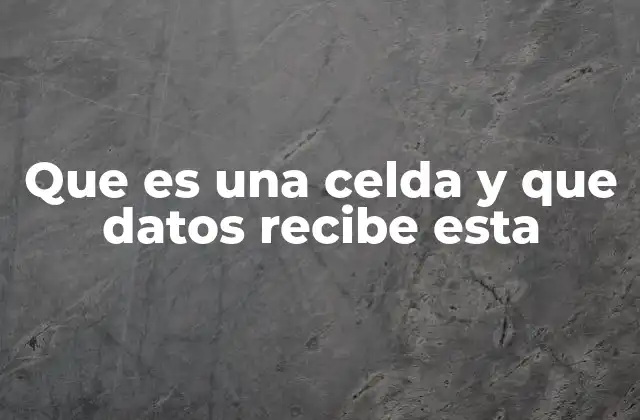 Que es una Celda y que Datos Recibe Esta