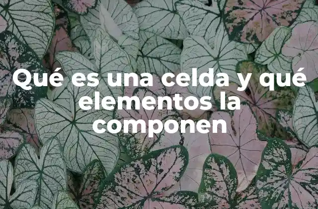 Qué es una Celda y Qué Elementos la Componen