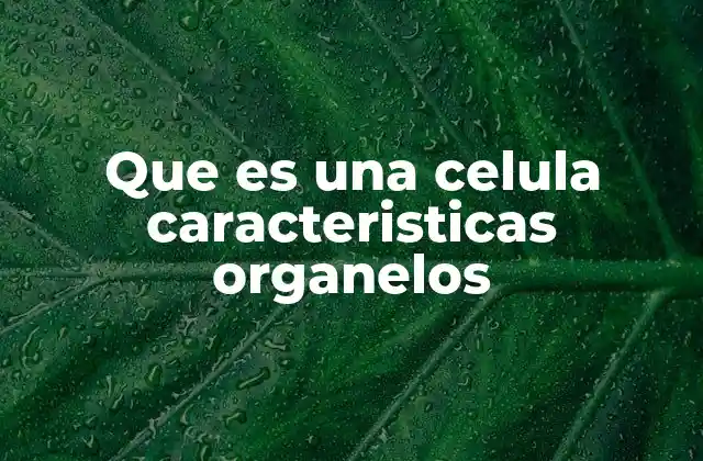 Que es una Celula Caracteristicas Organelos
