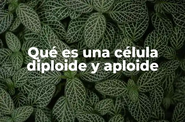 Qué es una Célula Diploide y Aploide