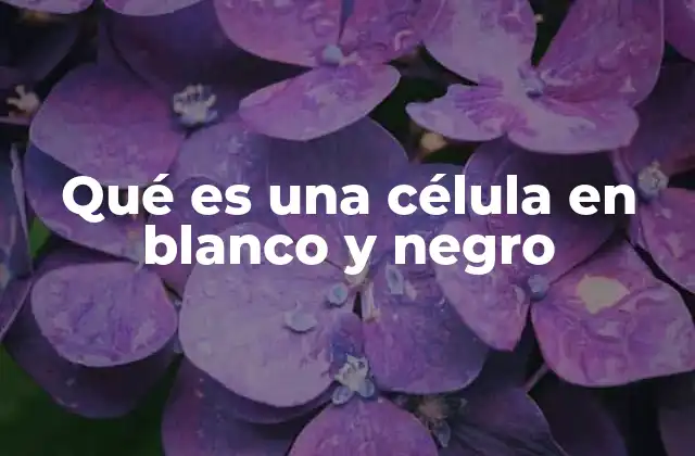 Qué es una Célula en Blanco y Negro