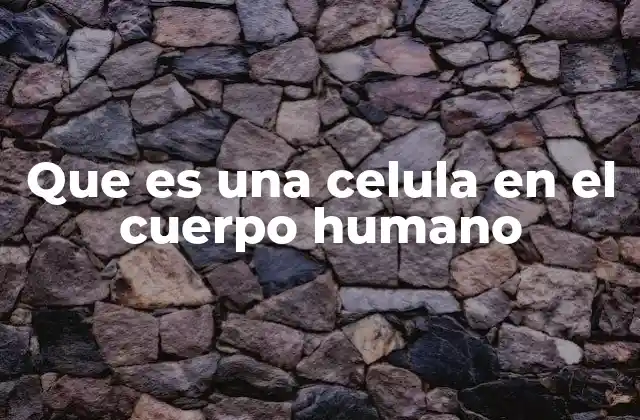 Que es una Celula en el Cuerpo Humano