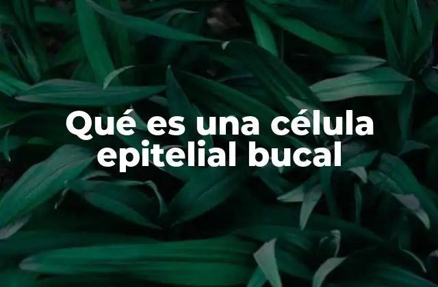 La importancia del epitelio oral en la salud general