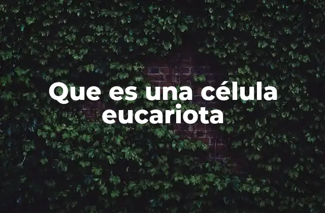 Que es una Célula Eucariota