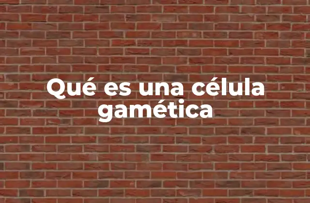 Qué es una Célula Gamética