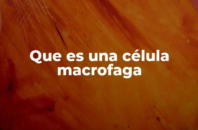 Que es una Célula Macrofaga