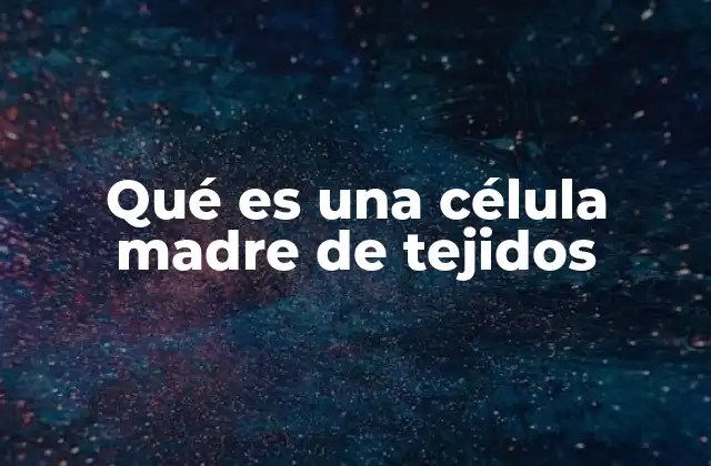 Qué es una Célula Madre de Tejidos