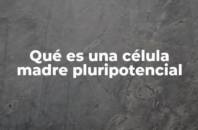 Qué es una Célula Madre Pluripotencial