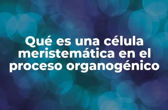 Qué es una Célula Meristemática en el Proceso Organogénico