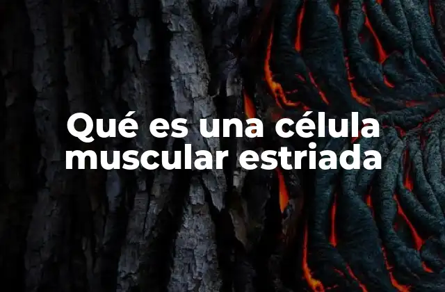 Qué es una Célula Muscular Estriada