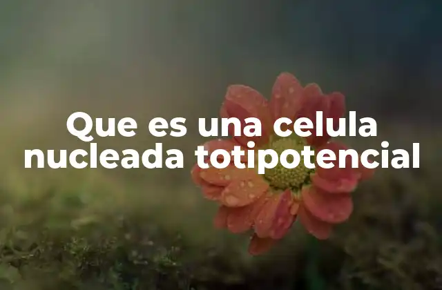 Que es una Celula Nucleada Totipotencial