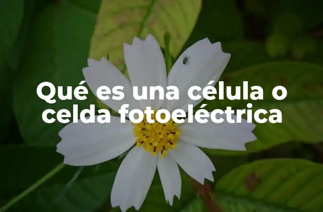 Qué es una Célula o Celda Fotoeléctrica