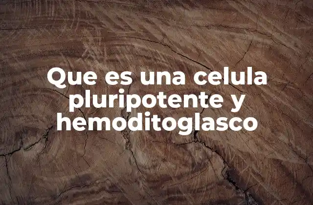 Que es una Celula Pluripotente y Hemoditoglasco