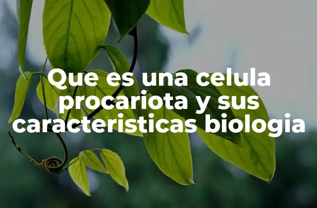 Que es una Celula Procariota y Sus Caracteristicas Biologia