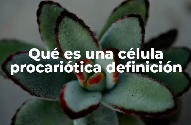Qué es una Célula Procariótica Definición 2 Características de las células procariotas
