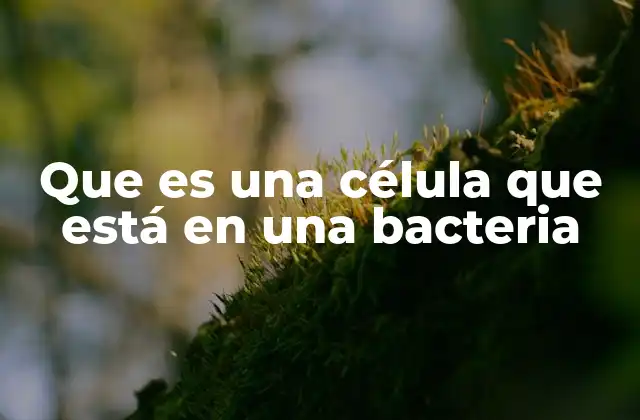 Que es una Célula que Está en una Bacteria
