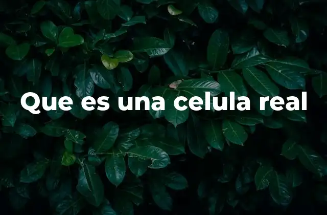 La estructura básica de las células eucariotas