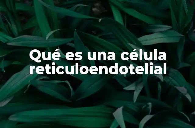 El papel de las células reticuloendoteliales en el sistema inmunitario