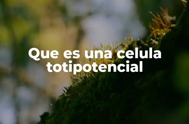 Que es una Celula Totipotencial