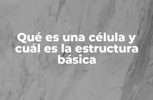 Qué es una Célula y Cuál es la Estructura Básica