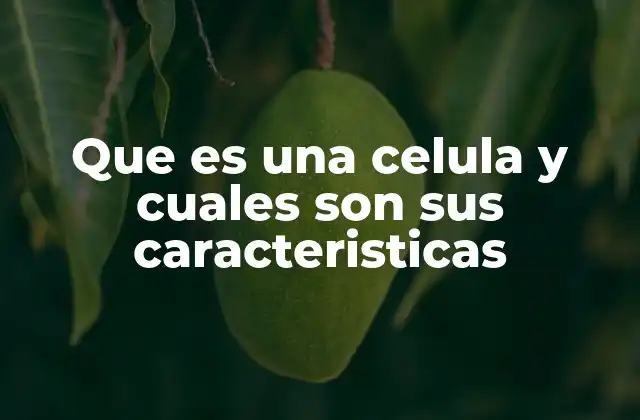 Que es una Celula y Cuales Son Sus Caracteristicas