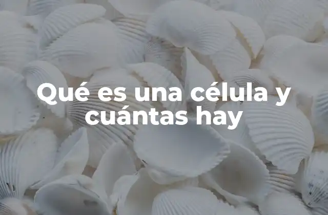 Qué es una Célula y Cuántas Hay