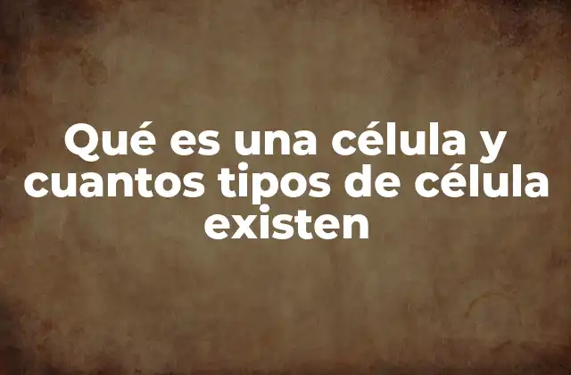 Qué es una Célula y Cuantos Tipos de Célula Existen