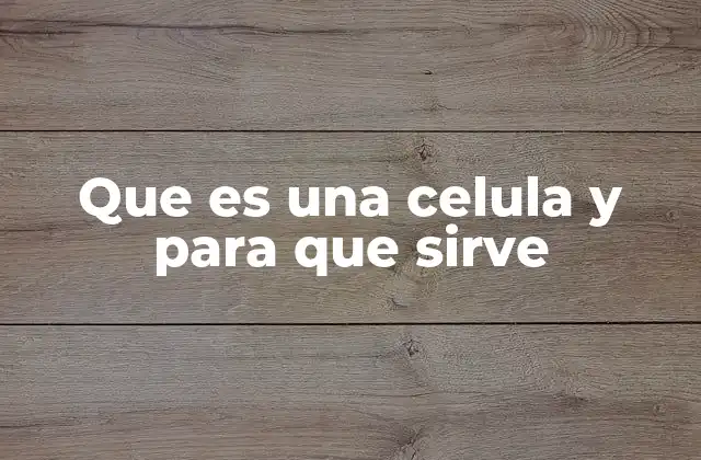 Que es una Celula y para que Sirve 2 La base de la vida: cómo las células dan forma a los seres vivos