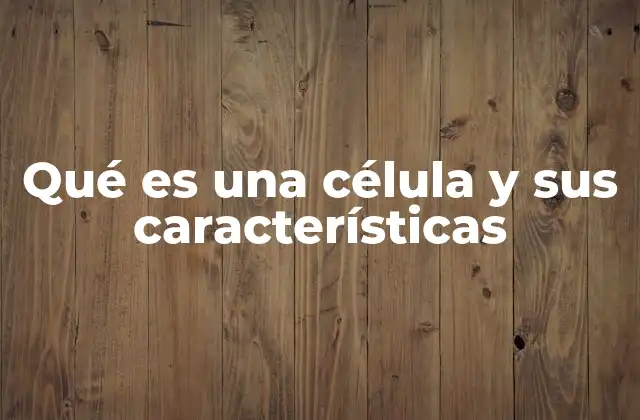 Qué es una Célula y Sus Características