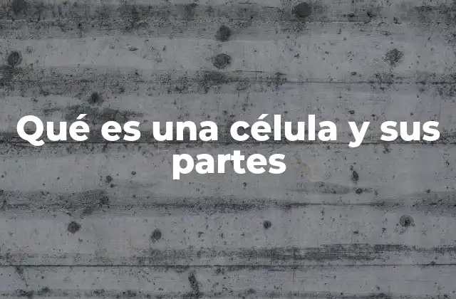 Qué es una Célula y Sus Partes