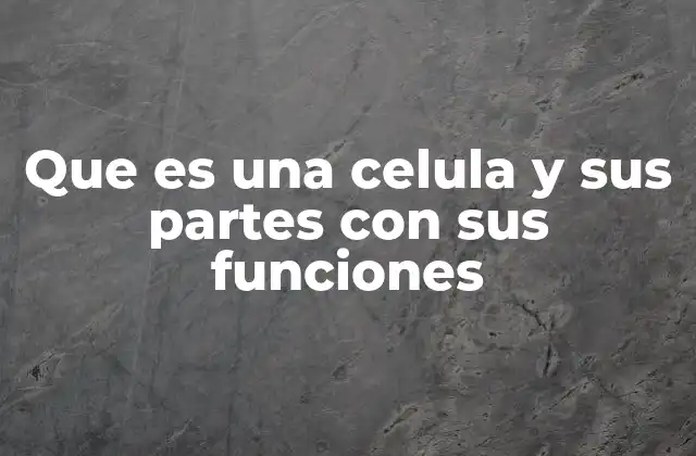 Que es una Celula y Sus Partes con Sus Funciones