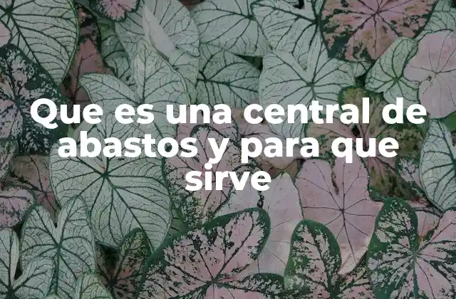 Que es una Central de Abastos y para que Sirve