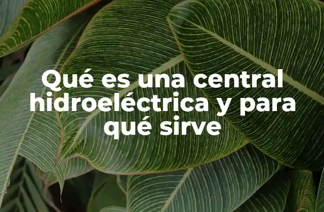 Qué es una Central Hidroeléctrica y para Qué Sirve