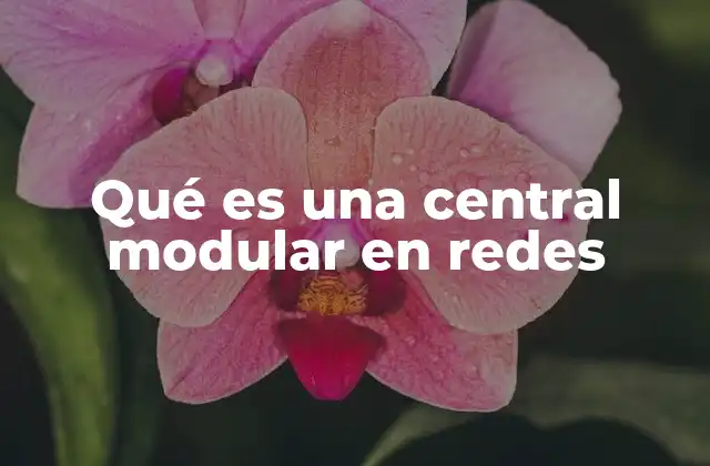 Qué es una Central Modular en Redes