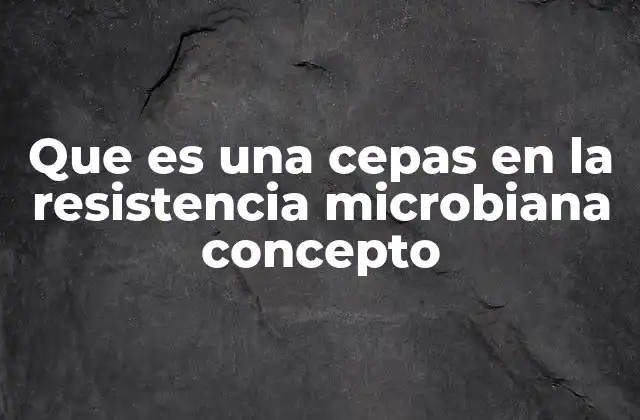 Que es una Cepas en la Resistencia Microbiana Concepto 2 Cómo las cepas bacterianas adquieren resistencia