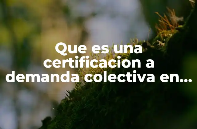 Que es una Certificacion a Demanda Colectiva en Estados Unidos